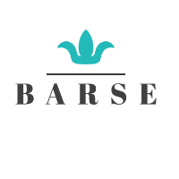 Barse Jewerly