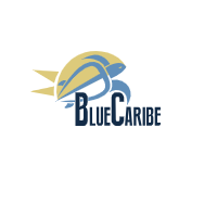 Blue Caribe Tours