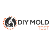 DIY Mold Test