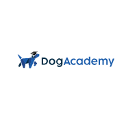 Dog Academy