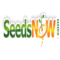 SeedsNow