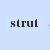 Strut Health